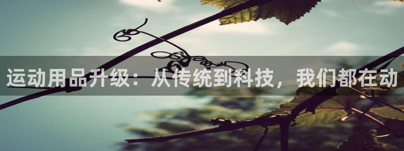 意昂4集团E.ON:运动用品升级:从传统到科技,我们都在动