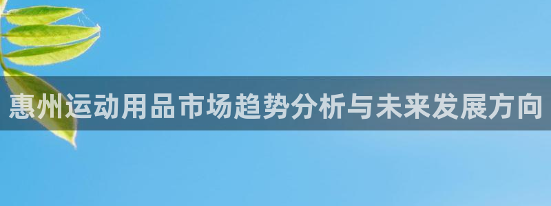 意昂4集团官网首页:惠州运动用品市场趋势分析与未来发展方向