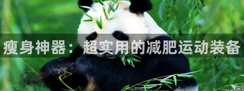 意昂体育4平台注册流程图:瘦身神器:超实用的减肥运动装备