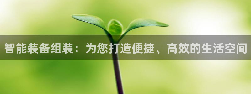 意昂体育4招商电话是多少:智能装备组装:为您打造便捷、高效的